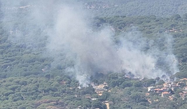 İzmir'de çamlık alanda yangın: Bergama'da ekiplerden etkin müdahale