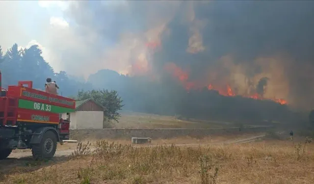 Ankara'da başlayan yangın Bolu'ya sıçradı: 1 köy tahliye edildi