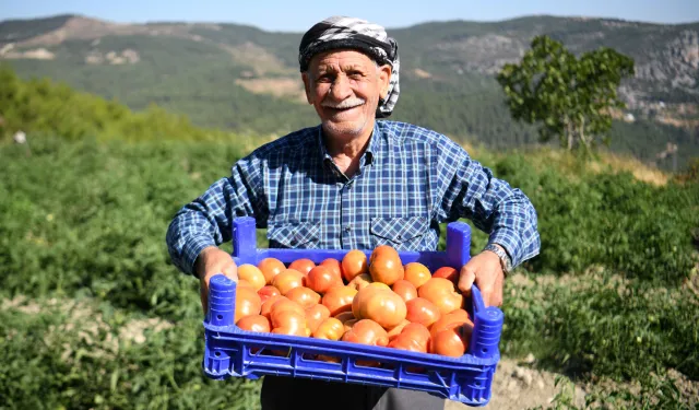 Bornova'da ürünler tarlada kalmayacak: Yerel üreticiye tam destek