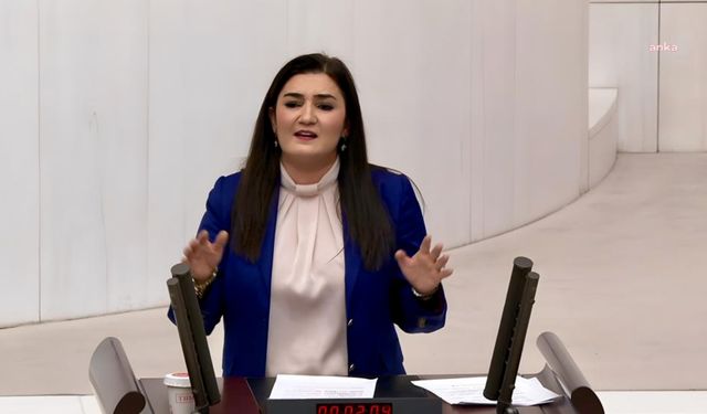 CHP'li Kılıç'tan erişim engeline tepki: Ben istedim oldu mantığıyla yönetilemez