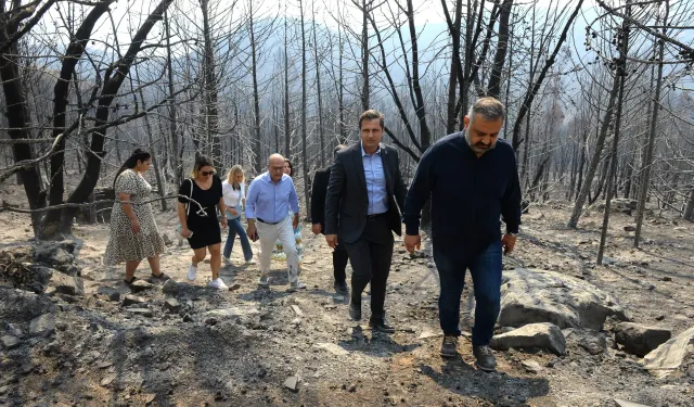 CHP heyeti yangın bölgesinde: İzmir'in yanındayız