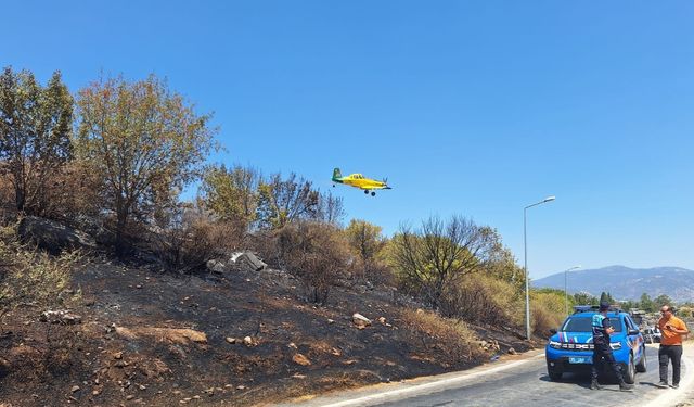 8 bin 600 yıllık tarih yok olacaktı: Efes Antik Kenti yakınında yangın