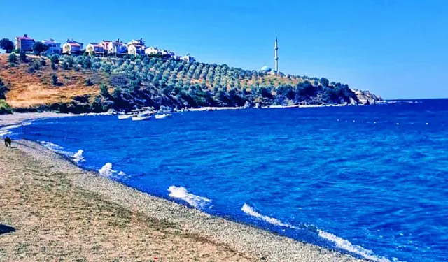 İzmir'de mavi bayraklı bir halk plajı: Denizinin güzelliği hayranlık uyandırıyor