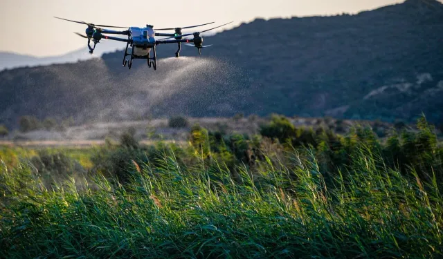 İzmir'de sivrisineğe belediye çözümü: Dron ile ilaçlanıyor