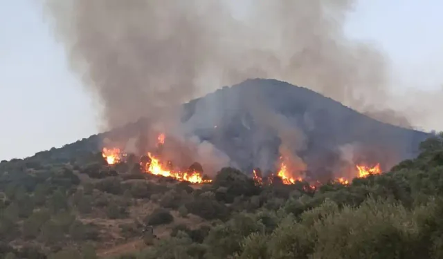 İzmir'deki yangın felaketi: Kırık kolu ile yangına müdahale etti