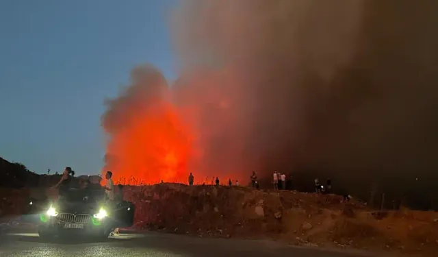 Başkan Tugay'dan yangın tepkisi: Yeterli hava müdahalesi yapılmadı