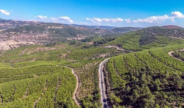 İzmir'de bazı bölgelerin orman sınırları dışına çıkarılmasına tepki: Yargının iptal kararı var