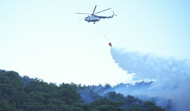 İletişim Başkanlığı açıkladı: 5 ildeki orman yangınlarına 7 bin 662 ton su atıldı