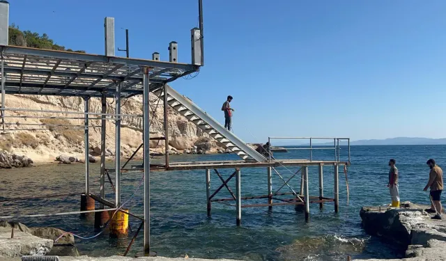 Fokların yaşamını tehdit ediyordu: İzmir'deki izinsiz iskele kaldırıldı