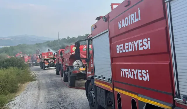 Osmaniye'den güzel haber: Orman yangını kontrol altında