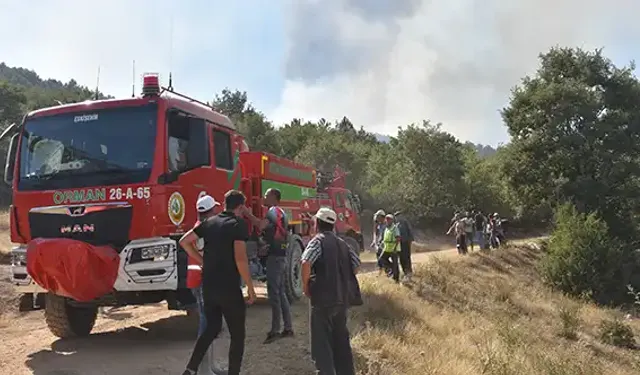 Afyonkarahisar'da orman yangını