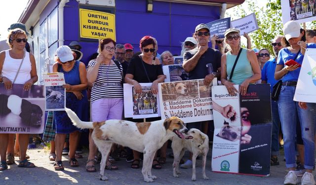 Seferihisar'da sokak hayvanları için yürüdüler: Öldüren değil yaşatan taraftayız