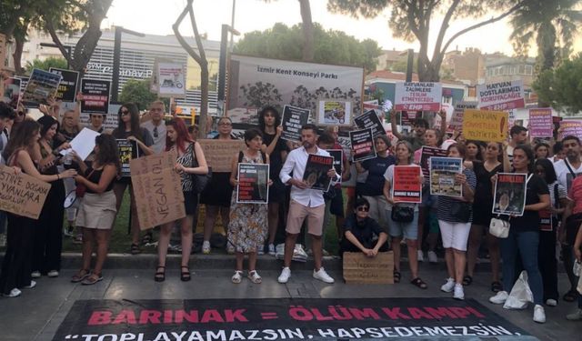 İzmir’de sokak hayvanları için eylem düzenlendi: Ülkeyi hayvan mezarlığına çevirmeyeceğiz