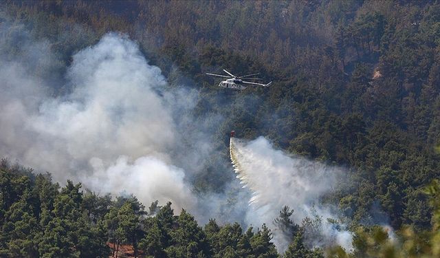 İletişim Başkanlığı duyurdu: 306 yangına müdahale edildi, 304'ü söndürüldü