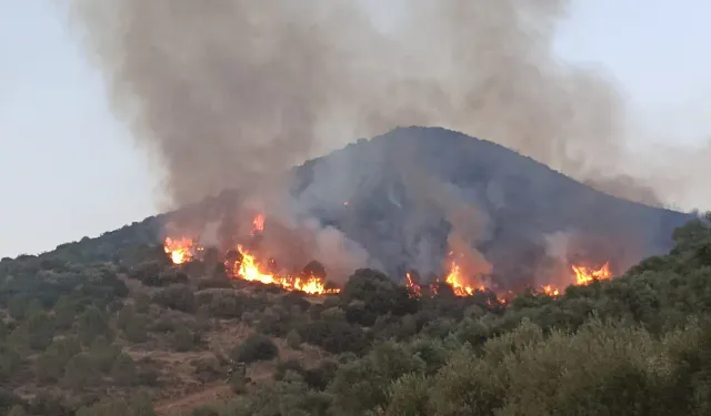 Semaverden çıktığı iddia edilen Tire'deki yangınla ilgili 3 kişi tutuklandı