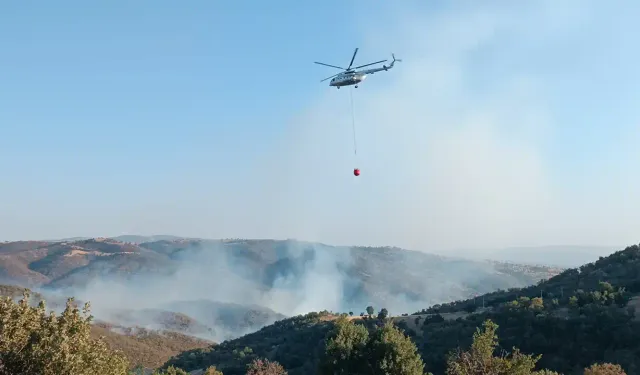 Uşak'ta iki noktada çıkan yangınlara müdahale ediliyor