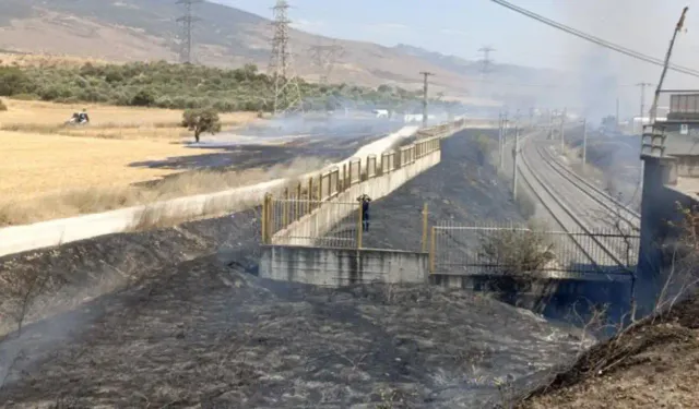 Aliağa'da facianın eşiğinden dönüldü: Yol kenarına atılan sigara izmaritinden yangın çıktı