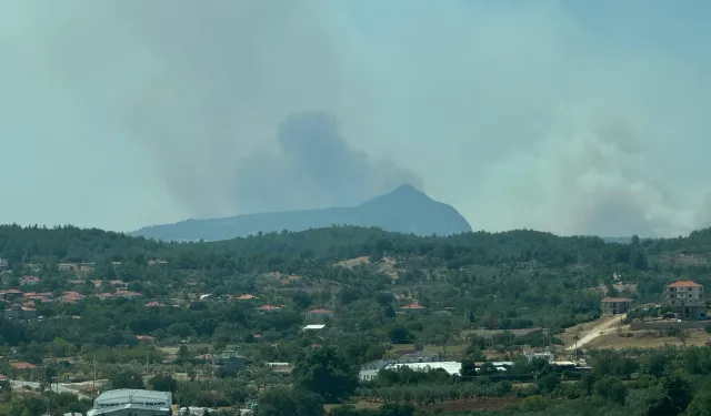 Muğla'da orman yangını çıktı: Müdahale sürüyor