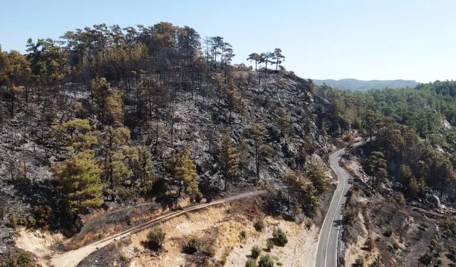 Muğla'da orman yangını 3'üncü gününde: Müdahale sürüyor