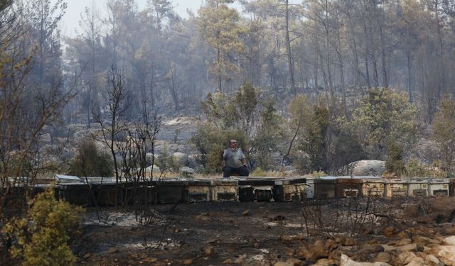 Muğla'da yangından etkilenen arıcılara destek: Geleceğimizi korumalıyız