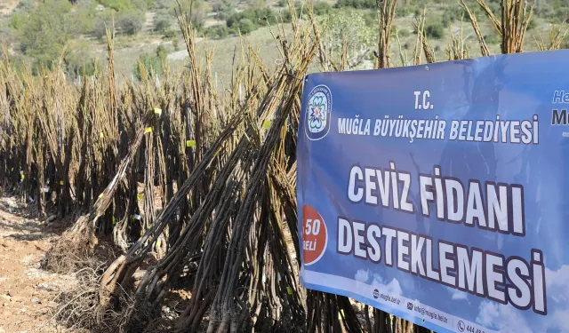 Muğla'da yangının yaraları sarılacak: Her Kapıda Bir Fidan projesi başlıyor