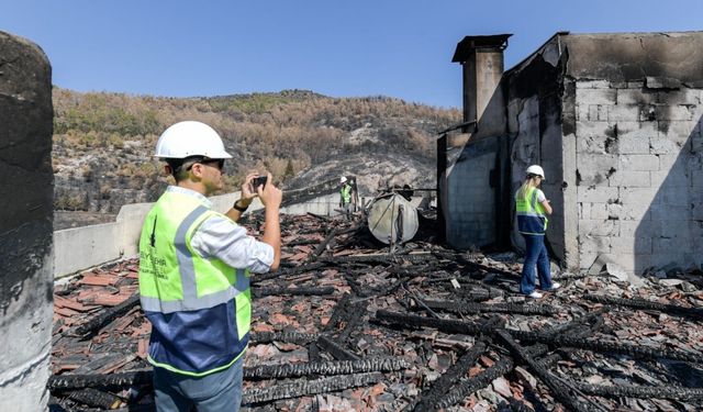 İzmir Büyükşehir harekete geçti: Yangın bölgesinde tamirat başladı