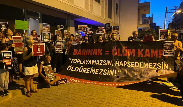 Yaşam Hakları Savunucuları İzmir'den ses yükseltti: Hayvan ölümleri son bulsun