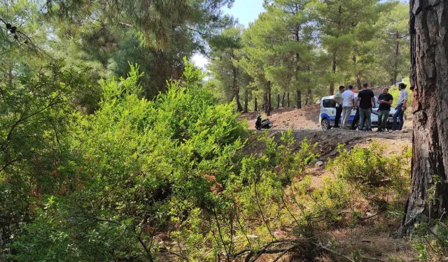 Fethiye'de ormana bebek bırakılmıştı: 2 şüpheli tutuklandı