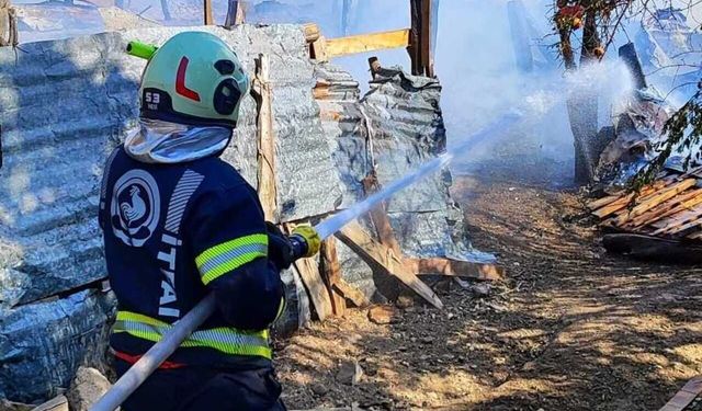 Denizli'de ahır yangını: 85 hayvan öldü