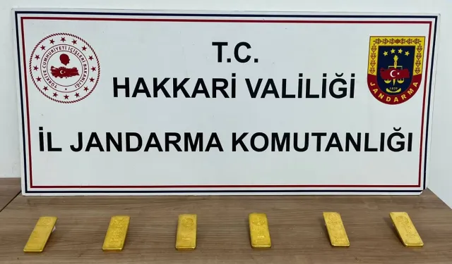 Hakkari'de altın kaçakçılığı: Yakalanan kilolarca külçenin fiyatı dudak uçuklattı