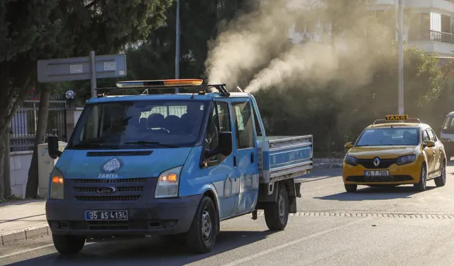 İzmir'e bela oldu: Buca Belediyesi, beyaz sineklere karşı ilaçlama başlattı