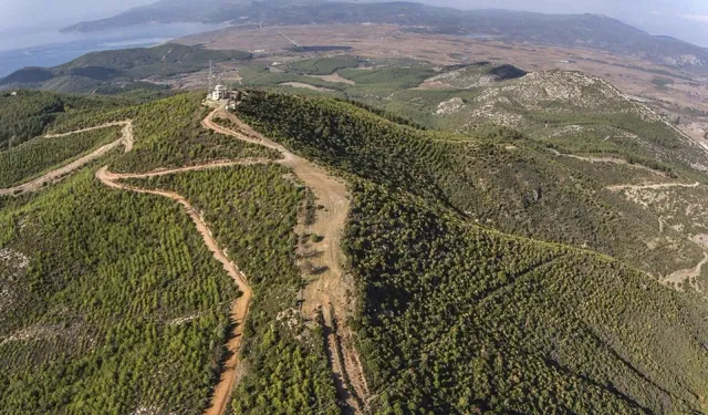 İzmir'in ormanları için alınan karar tepkiye sebep olmuştu: Resmi açıklama geldi