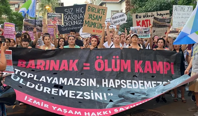 Karşıyaka’da hayvan ölümleri yaşanıyor: Hayvanseverler ses yükseltecek