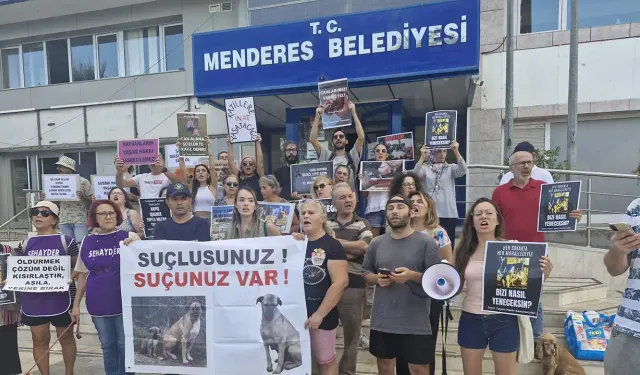 Menderes'teki köpek katliamına tepki: Yasa öldürme izni vermiyor