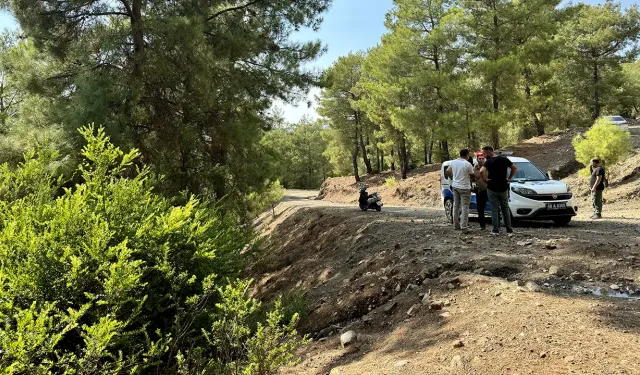 Vicdansızlık: Yeni doğan bebeği ormanlık alanda terk ettiler