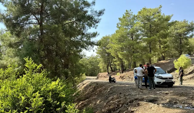 Muğla'da ormanlık alanda terk edilmiş bebek bulundu