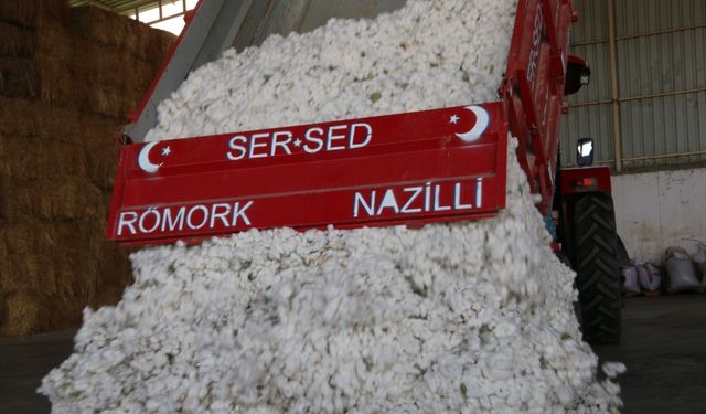 Nazilli'de hasat başladı: Sezonun ilk pamuğu çırçır fabrikasında