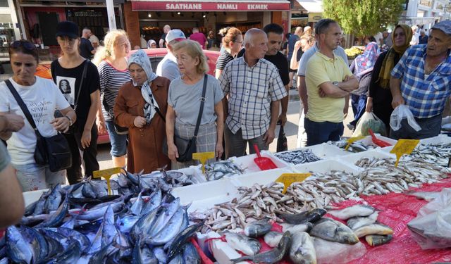 Tezgahlarda palamut bolluğu: Kilosu 70 TL