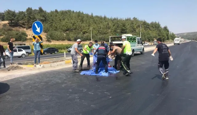 2 yıl sonra kardeşiyle aynı kaderi yaşadı: Trafik kazasında hayatını kaybetti