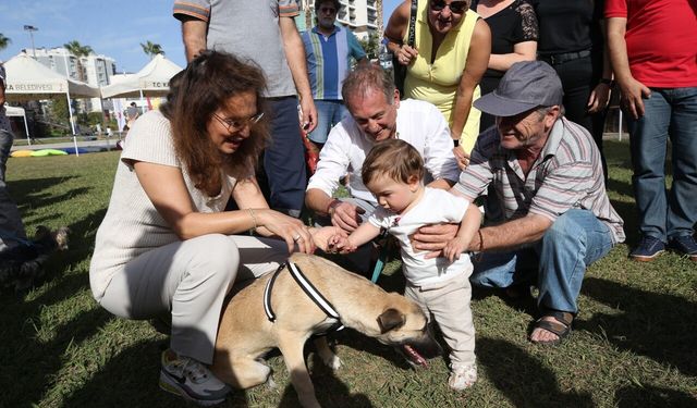 Karşıyaka'da patili dostlar yuvalarıyla buluşturuldu: Engelli köpeği Başkan Ünsal sahiplendi