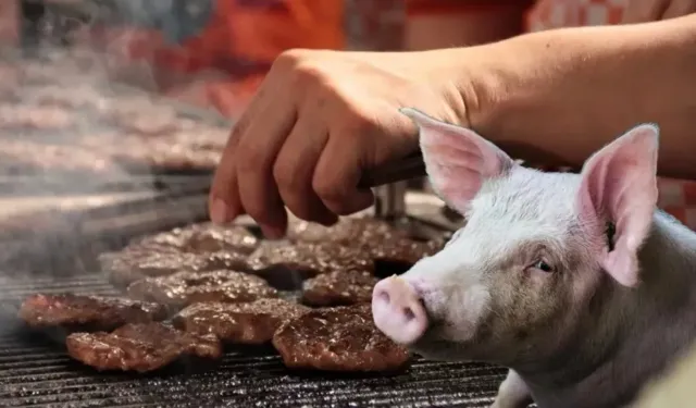 Tarım ve Orman Bakanlığı’ndan beklenen domuz eti açıklaması geldi?