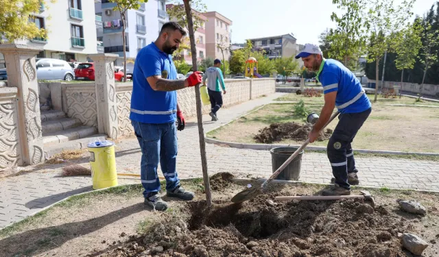 Buca'da seferberlik: İlçe genelinde yeşillendirme çalışması başladı