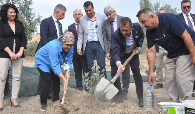 Özel, Manisa'da zeytin şenliğine katıldı: Köylüler ve çevreciler kazanacak