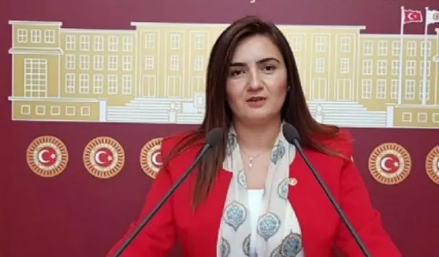 CHP'li Sevda Erdan Kılıç duyurdu: Cem Şahin olayına soruşturma