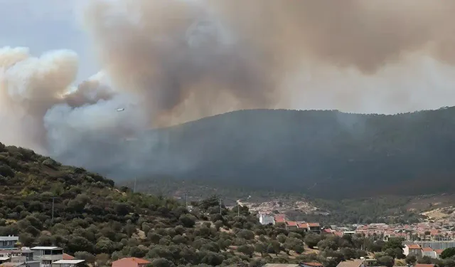 İzmir Foça'da yangın: Müdahale başladı