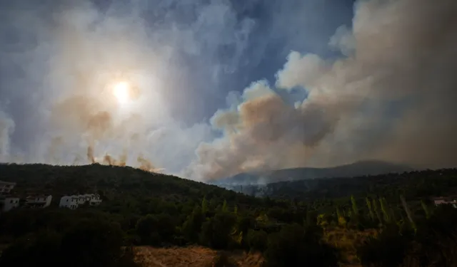 İzmir Foça'da çıkan yangın kontrol altına alındı