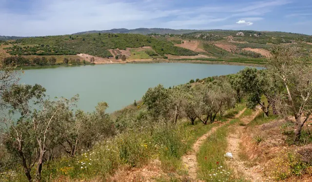 İzmir'de doğal bir cennet: Gebekirse Gölü nerede?