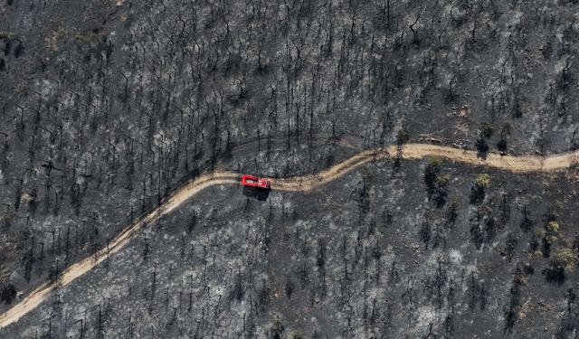 Hasar havadan görüntülendi: Foça'nın ciğerleri yandı