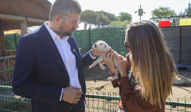 Buca ailesinin yeni üyesi: Başkan Duman, Üzüm'den sonra Bardacık'ı sahiplendi