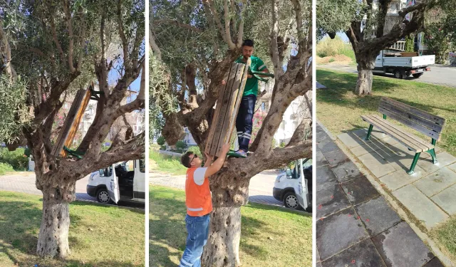 Kuşadası’nda büyük vandallık: Görenler, bu kadarı da pes, dedi